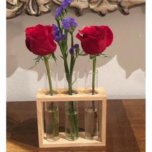 Plant Propagation 3 Glass Tube Vase